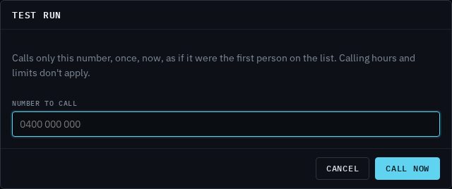 The Test run box asking for a number to call, with a Call now button